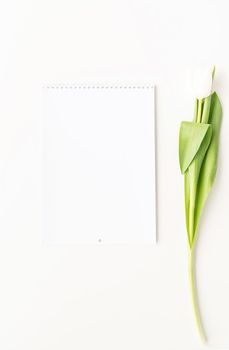 Top view of blank calendar for mock up design and white tulip. Spring concept.