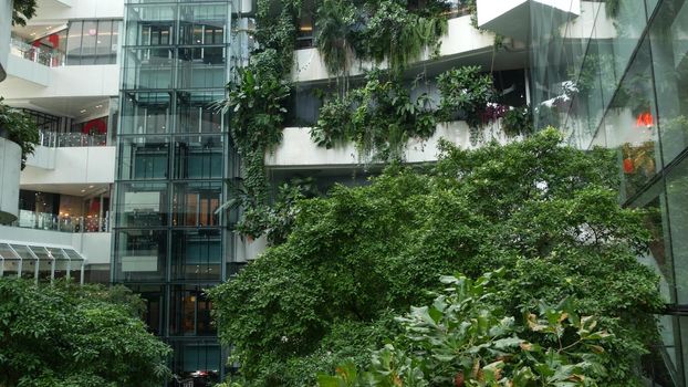 BANGKOK, THAILAND - 18 DECEMBER, 2018 The Emquartier - luxury shopping center. Design of mall in green environmentally friendly concept. Open air hanging garden on terraces and waterfall
