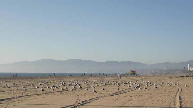 LOS ANGELES CA USA - 16 NOV 2019: California summertime Venice beach aesthetic. Sea gulls on sunny california coast, iconic retro wooden rainbow lgbt pride lifeguard watchtower near Santa Monica.