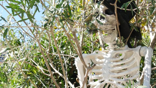 LOS ANGELES, CALIFORNIA, USA - 29 OCT 2019: Scary festival decorations of a house, Happy Halloween holiday. Classic garden with Pumpkin, Bones and Skeleton. Traditional party decor. American culture.