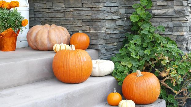 LOS ANGELES, CALIFORNIA, USA - 29 OCT 2019: Scary festival decorations of a house, Happy Halloween holiday. Doorway stairs with jack-o-lantern pumpkin. Traditional party decor. American culture.