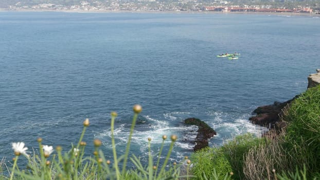 La Jolla, San Diego, CA USA -24 JAN 2020: Group of people on kayaks in ocean, active tourists on canoe paddling and looking for seals. View from steep high cliff. Leisure during vacations and holidays