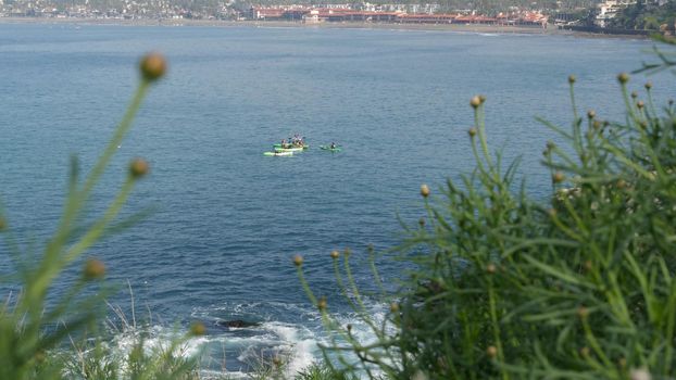La Jolla, San Diego, CA USA -24 JAN 2020: Group of people on kayaks in ocean, active tourists on canoe paddling and looking for seals. View from steep high cliff. Leisure during vacations and holidays