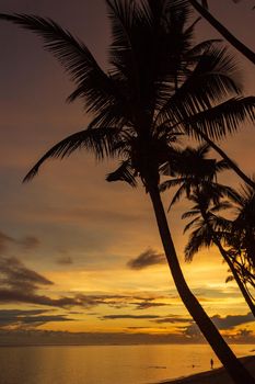 Colorful sunrise on Tambua Sands Beach on Fiji Island, Fiji.