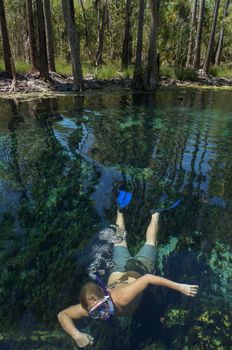 in australia mataranka river the palm and the lake in the nature