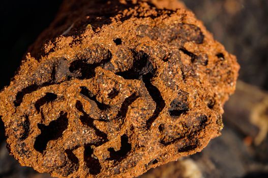 close up of the inside of a Red termite mound, northern territory