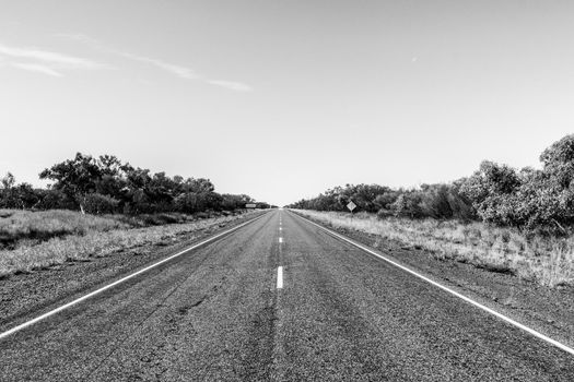 black and white picture of the nullarbor, Outback, Australia