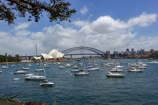 Sydney Opera House at new years eve shoot from the Mrs Macquaries Point, Sydney Australia