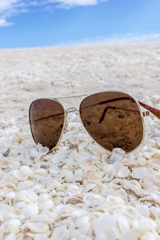Sunglasses at a beach full of shells, SharkBay, Western Australia
