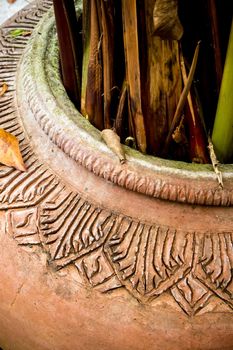 Earthen jars for water plants