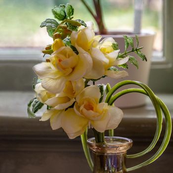 Yellow flowers in a glass vase by a window