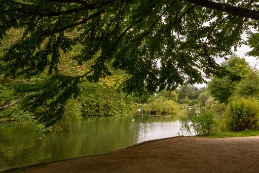 Scenic of a river or a lake in a park surrounded by trees