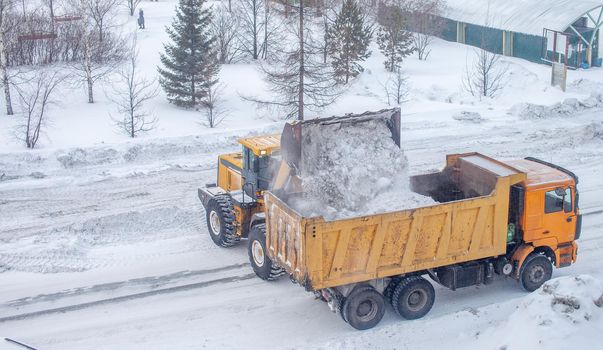 Big yellow tractor cleans up snow from the road and loads it into the truck. Cleaning and cleaning of roads in the city from snow in winter