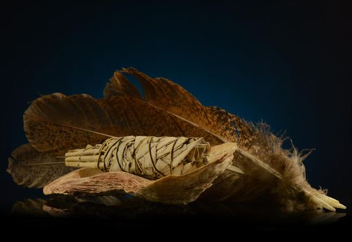 A bundle of fresh sage is placed inside an oyster shell with some feathers for smudging a spiritual cleanse.