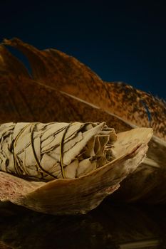 A bundle of fresh sage is placed inside an oyster shell with some feathers for smudging a spiritual cleanse.