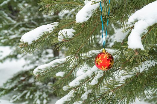 christmas decoration on the snow-covered branches of fir trees in the winter forest. High quality photo