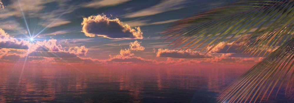 sunset sea palm landscape illustration, 3d render