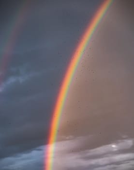 rainbow on the clouds sky, colorful rainbow