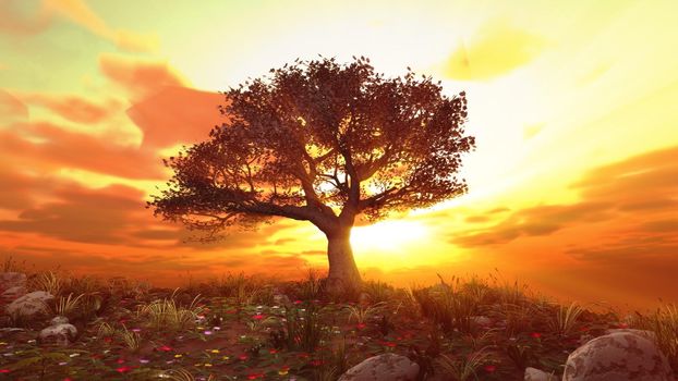 tree spring in meadow sunset illustration, 3d rendering