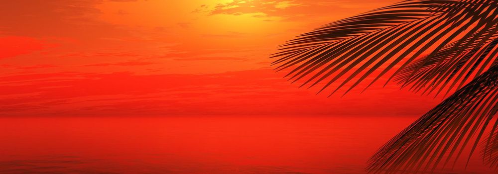 sunset sea palm landscape illustration, 3d render