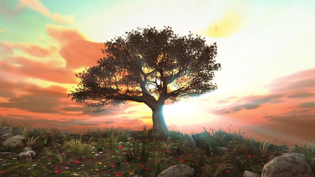 tree spring in meadow sunset illustration, 3d rendering