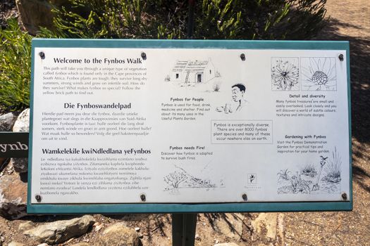 Fynbos Walk green turquoise information sign in Kirstenbosch, Cape Town, South Africa.