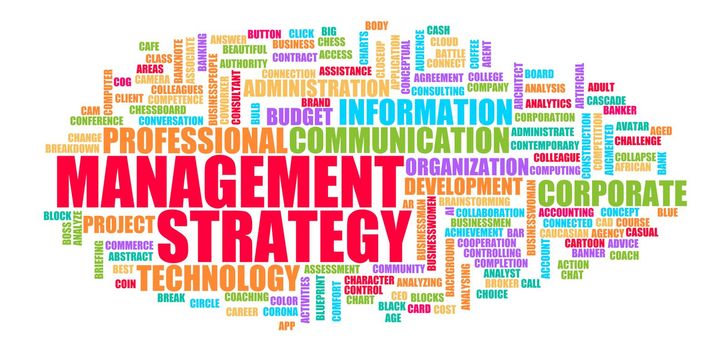 Management Strategy Business Success as a Concept