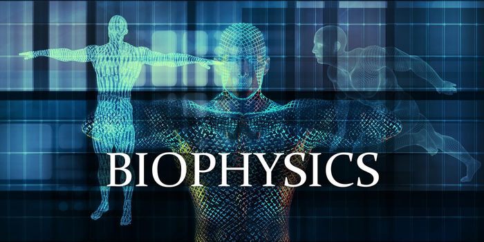 Biophysics Medicine Study as Medical Concept