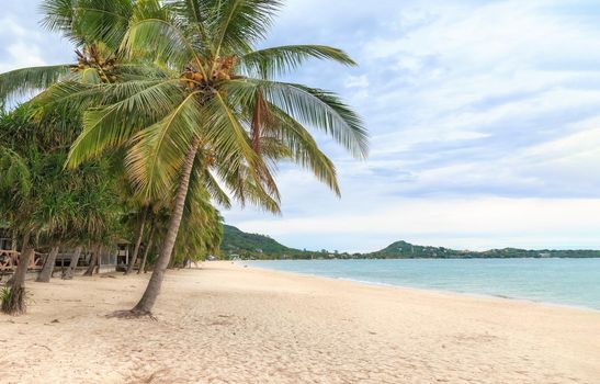 White sand at Lamai Beach, Koh Samui, Thailand. After Covid had no tourists make the sea complete ecological recovery ,nature balance