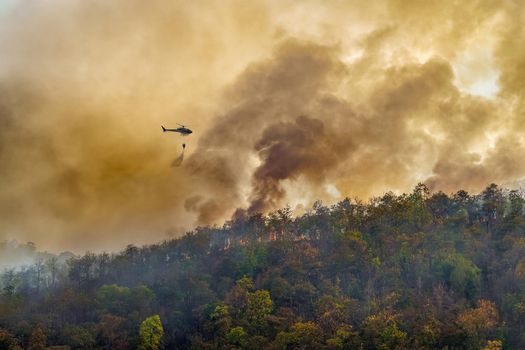 Firefighting helicopter dropping water on forest fire