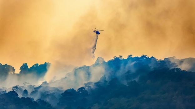 Firefithing helicopter dumps water on forest fire