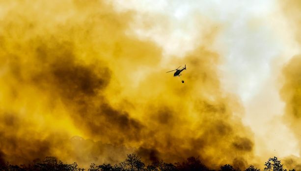 Firefithing helicopter dropping water on forest fire