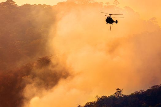 Firefighting helicopter dropping water on forest fire