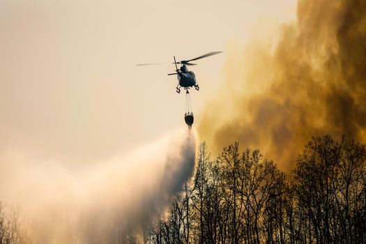 Firefithing helicopter dropping water on forest fire