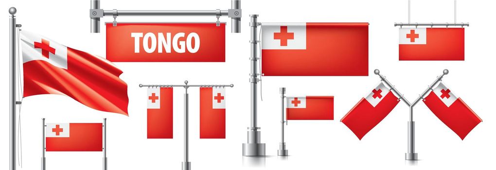 Vector set of the national flag of Tonga in various creative designs.