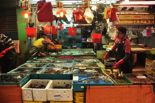 HONG KONG - 22th FEBRUARY, 2015:View of workers sorting fresh catch of seafood in different containers at stall outdoors. People sorting seafood at stall