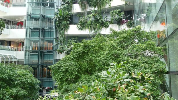 BANGKOK, THAILAND - 18 DECEMBER, 2018 The Emquartier - luxury shopping center. Design of mall in green environmentally friendly concept. Open air hanging garden on terraces and waterfall