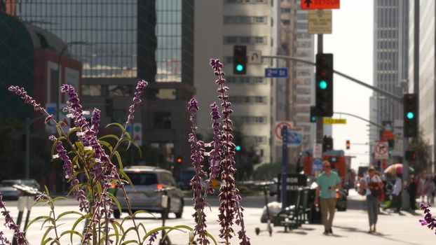 LOS ANGELES, CALIFORNIA, USA - 30 OCT 2019: People walking in metropolis, pedestrians on walkway in urban downtown. Citizens on street in financial district. City dwellers in LA among skyscrapers.