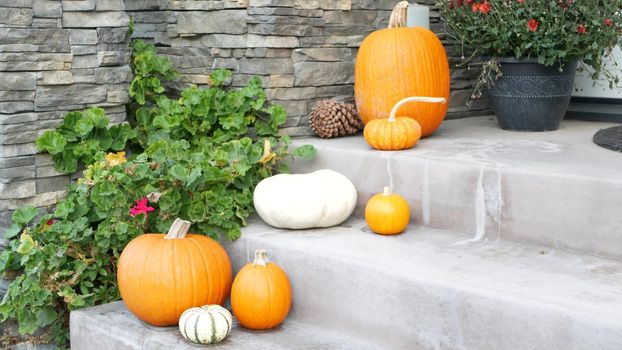 LOS ANGELES, CALIFORNIA, USA - 29 OCT 2019: Scary festival decorations of a house, Happy Halloween holiday. Doorway stairs with jack-o-lantern pumpkin. Traditional party decor. American culture.