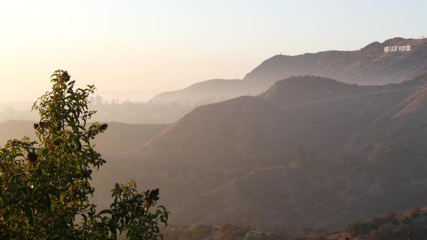 LOS ANGELES, CALIFORNIA, USA - 7 NOV 2019: Iconic Hollywood sign. Big letters on hills as symbol of cinema, movie studios and entertainment industry. Large text on mountain, view thru green leaves.