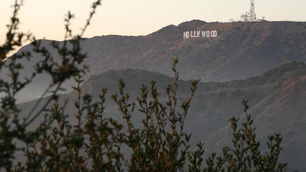 LOS ANGELES, CALIFORNIA, USA - 7 NOV 2019: Iconic Hollywood sign. Big letters on hills as symbol of cinema, movie studios and entertainment industry. Large text on mountain, view thru green leaves.