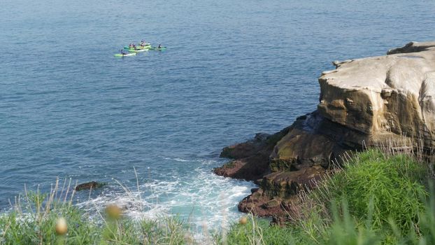 La Jolla, San Diego, CA USA -24 JAN 2020: Group of people on kayaks in ocean, active tourists on canoe paddling and looking for seals. View from steep high cliff. Leisure during vacations and holidays