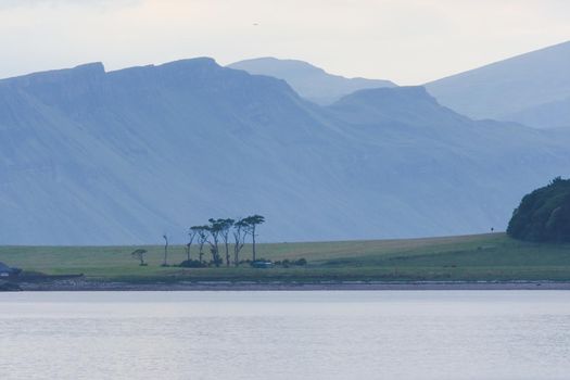 Dramatic scottish coastal cliffs, part of a telephoto landscape behind an unusual bunch of trees on the isle of raasay. Blue and green color tone.