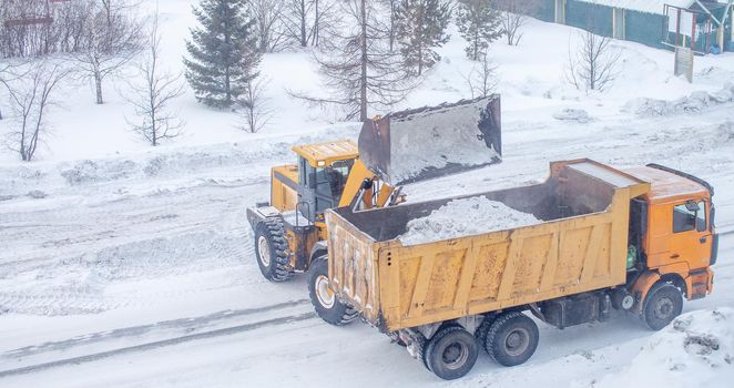 Big yellow tractor cleans up snow from the road and loads it into the truck. Cleaning and cleaning of roads in the city from snow in winter