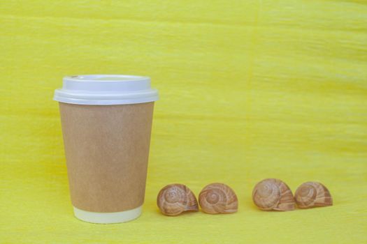 A paper cup of coffee covered with a white lid and next to it sea shells on a yellow background. There is a place for the text.