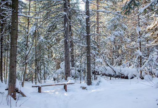 Winter road in a snow-covered forest, tall trees along the road. There's a lot of snow on the trees. In the forest, a wooden bench for recreation. The concept of the winter season.