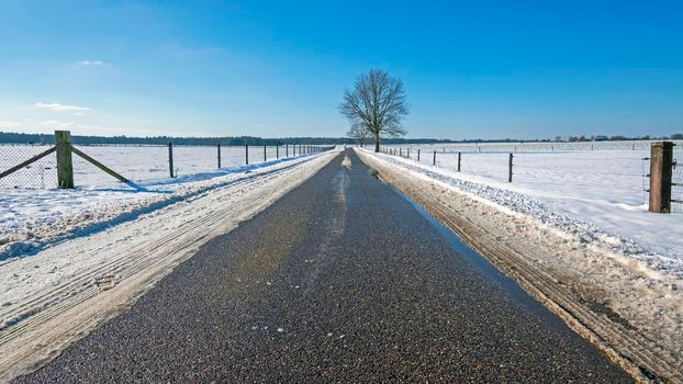 Dutch winter landscape in the countryside in the Netherlands