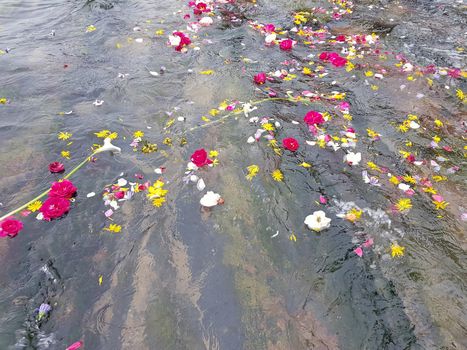 Flowers floating in the atlantic ocean