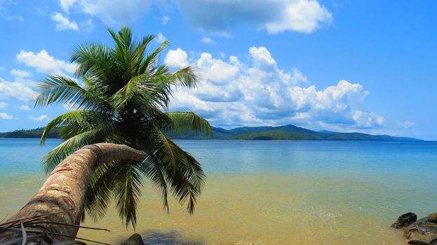 Port Blair Island against inclined coconut tree in Andaman and Nicobar Islands, India.
