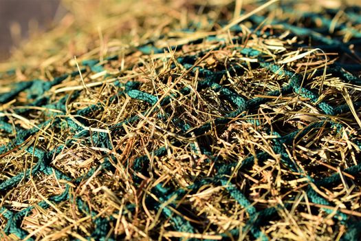 Close-up of hay under a green hay against a blurred background